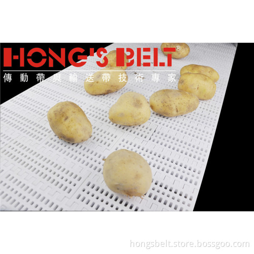 Food Grade Vegetable Modular Conveyor Belt (HS-100B)